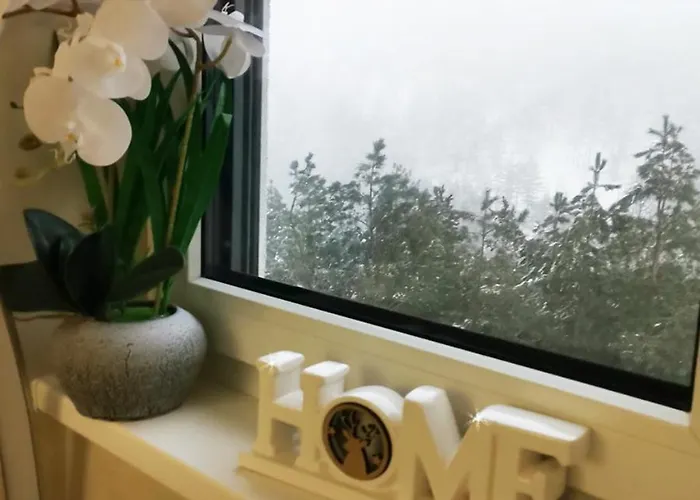 Appartement Zmaj - *